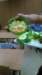 wp_20161107_13_17_19_pro_small.jpg